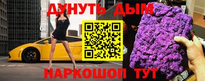 индика Дубна