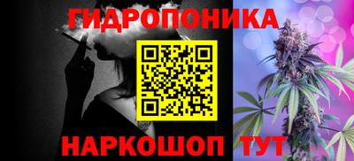 индика Дубна