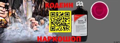 индика Дубна