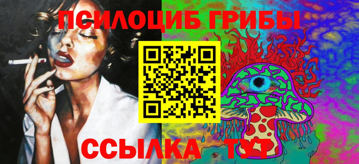 Галлюциногенные грибы Cubensis Подольск
