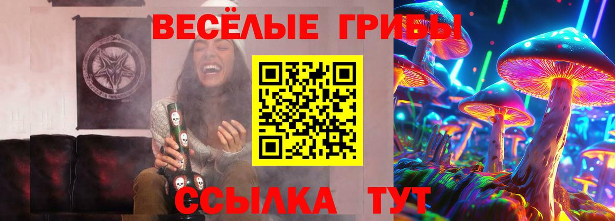 Псилоцибиновые грибы мицелий  Галлюциногенные грибы прущие грибы  Вход с VPN  Подольск 